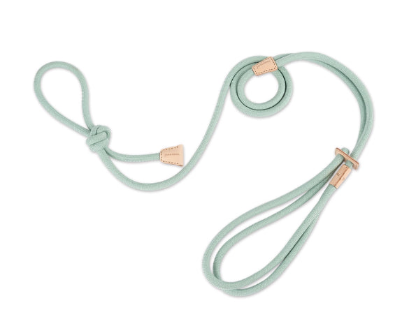 Multi Functional Pet Chest Harness With Anti Burst Leash