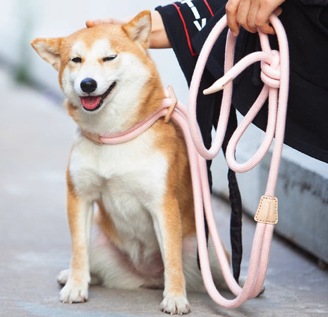 Multi Functional Pet Chest Harness With Anti Burst Leash