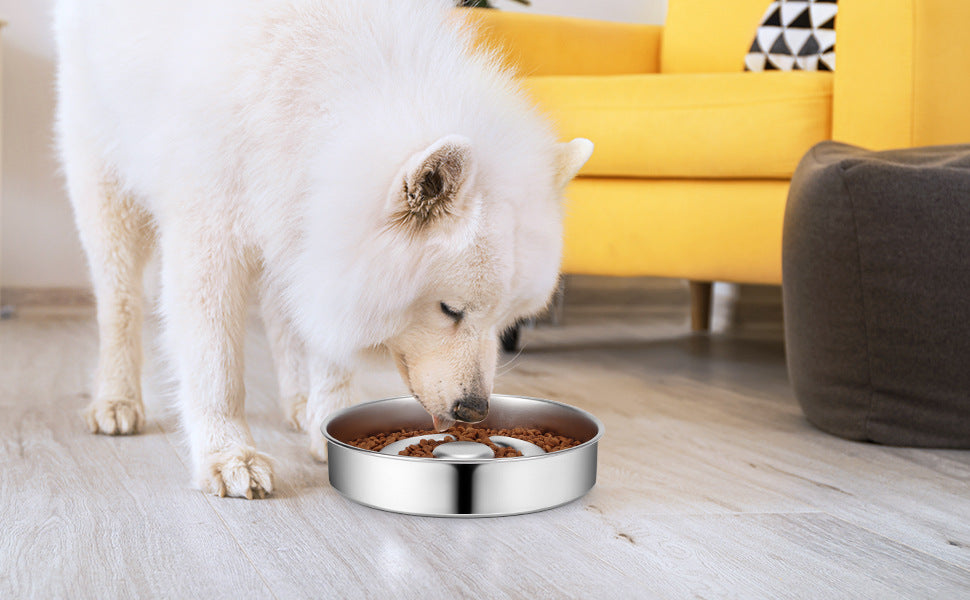 Stainless Steel Slow Feeding Bowl With Neck Protector For Pets