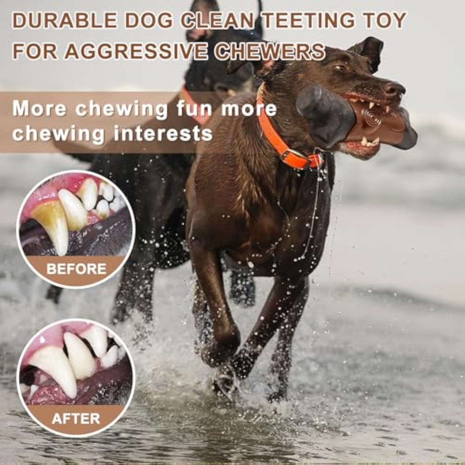 Tough Toys For Aggressive Chewers Large Breed Indestructible