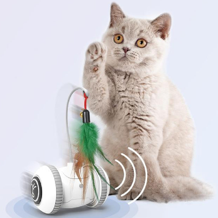 Interactive Toy With Interchangeable Heads  Pet Feather Toys