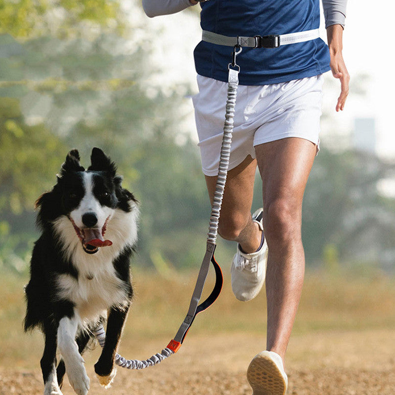 Outdoor Running Pet Leash For Active Walking