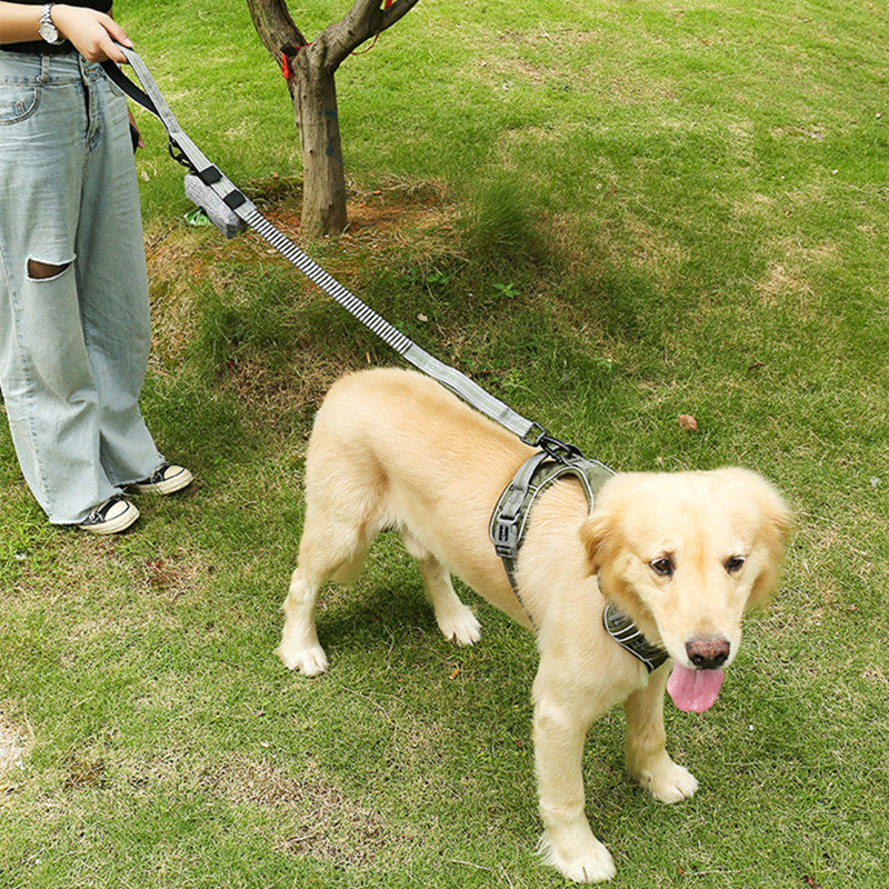 Fluorescent Elastic Retractable Anti Burst Pet Leash